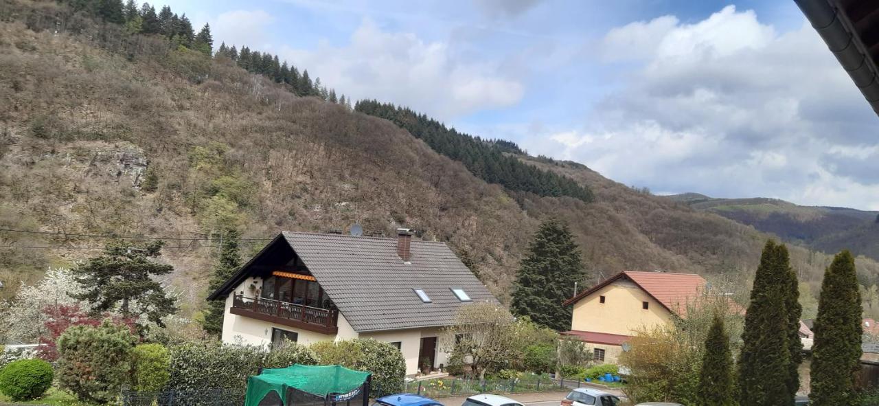 Helmine Apartment Mettlach Luaran gambar
